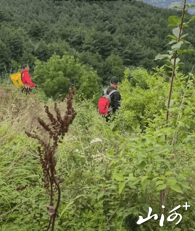 皇冠登一登二登三区别_63岁男子独自考察南太行失联近4个月皇冠登一登二登三区别，家属悬赏10万寻人：重启搜救7天，搜救员被毒蛇咬伤