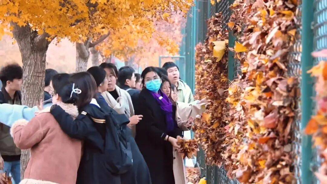 买球的正规网站
_河南一医学院学生用落叶在篮球场铁网上插出心肝肺胃、注射器等图案买球的正规网站
，学校：秋日限定浪漫