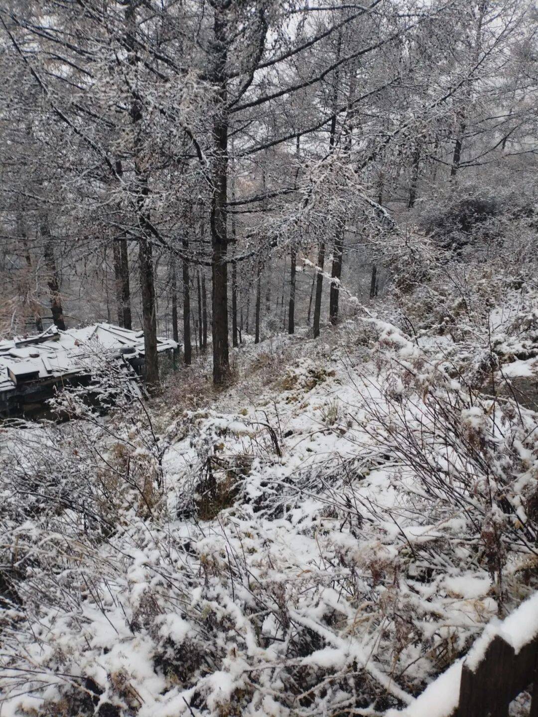 皇冠体育App下载
_石家庄下雪了!河北将迎中到大雪皇冠体育App下载
,未来三天……