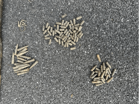 皇冠信用网在线注册
_男子钓到108发子弹以为是大鱼皇冠信用网在线注册
,警方:疑似为历史遗留弹药,已移交至相关部门处理