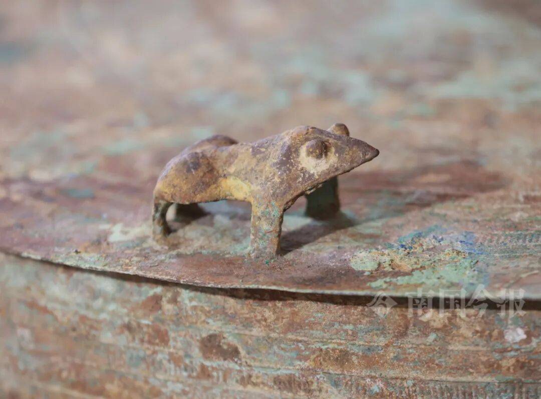 皇冠信用登2代理
_柳州钓鱼阿叔竹林挖蚯蚓皇冠信用登2代理
,竟挖出千年前的“大宝贝”!