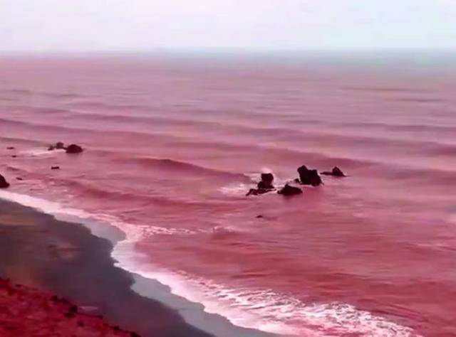 皇冠信用网会员账号_罕见！伊朗霍尔木兹岛遭遇强降雨皇冠信用网会员账号，部分海域变成“血色海洋”