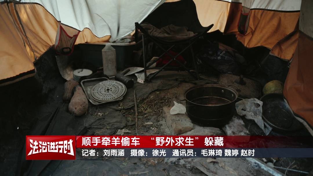 皇冠登录地址_北京警方刑拘1名“荒野求生”爱好者