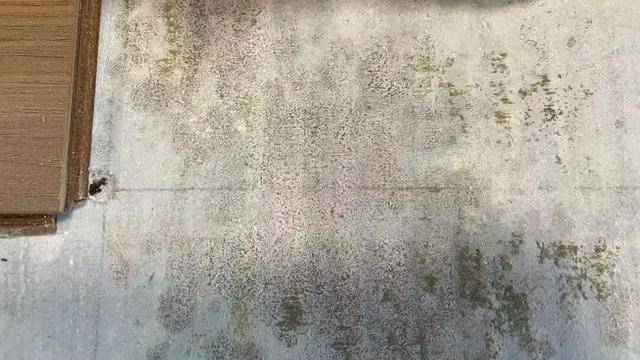 皇冠信用网网址
_河南郑州保利一小区超两百户精装房成“霉菌房” 皇冠信用网网址
,家里一股霉味